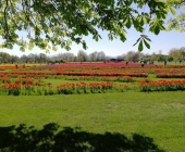 anja-macek-volcji-potok