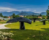 edis-karic-arboretum-volcji-potok