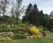 justi-videc-arboretum