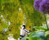 marija-plestenjak-volcji-potok