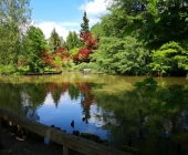 neli-danijela-volčji-potok