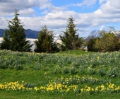 romana-majhen-arboretum2