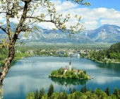 Blejsko jezero