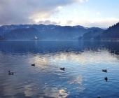 Blejsko jezero v megli
