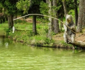 Bloško jezero