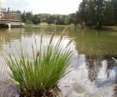Bloško jezero