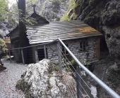 brigita-kotar-bolnica-franja
