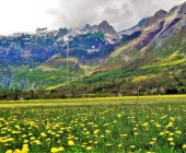 Bovec