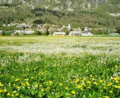 Bovec