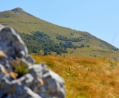 Cerkev svetega Hieronima
