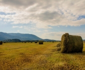 Cerkniško jezero