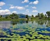 Cerkniško jezero