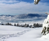 Cerkniško jezero pozimi