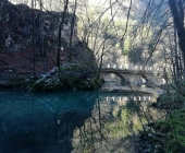 Divje jezero