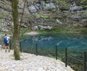 Divje jezero