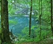Divje jezero