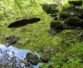 Divje jezero