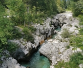posocje-nevenka-berglez