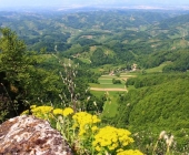 Donačka gora