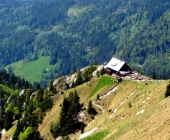 Golica