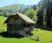 Golica