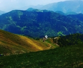 Golica