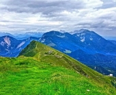 Golica