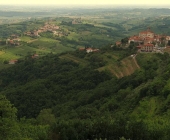 Goriška brda
