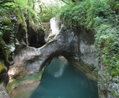 Goriška brda