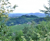 Goriška brda