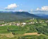 Goriška brda