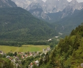 Gozd Martuljek