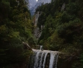 Gozd Martuljek