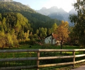 Gozd Martuljek