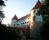 Grad Mokrice