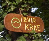 Izvir Krke