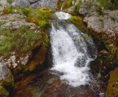 Izvir Soče