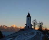 Jamnik