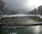jezero Jasna