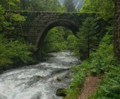 Kamniška bistrica
