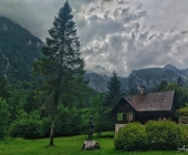ana-poznic-kamniska-bistrica4