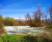 Kamniška bistrica