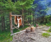 Kekčeva dežela