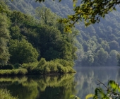 Kolpa