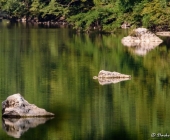 Kolpa