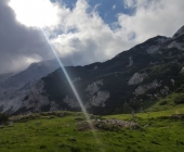 Korošica