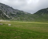 Korošica