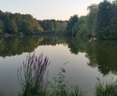 Koseški bajer