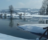 Kostanjevica na Krki