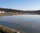 Krajinski park Strunjan